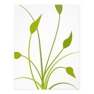 Plants Clip Art With Transparent Background