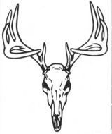 Deer Skull Tattoos N3