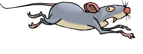 cartoon running gray mouse