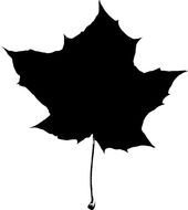 maple Leaf, black Silhouette, Clip Art