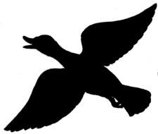 Duck Call Clip Art N2