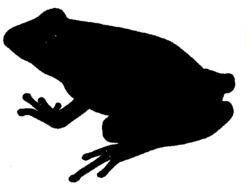 Frog Silhouette N4