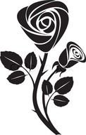 painted black rose in a book
