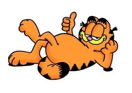 Garfield cat on a white background