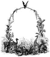 Clipart of Wildlife Border