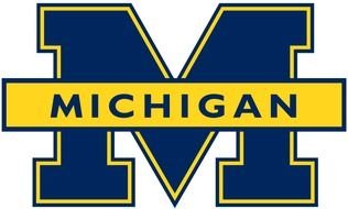 Michigan as a Logo