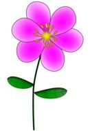 small Pink Flowers drawing