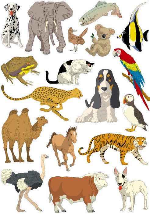 Animal Clip Art N65