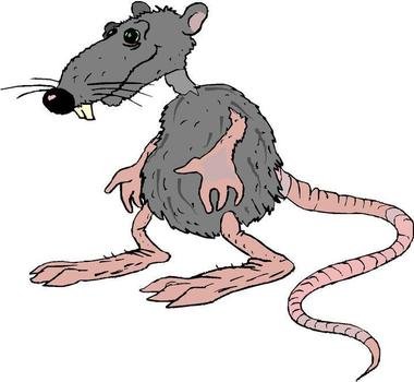 Ugly Cartoon Rat N4 free image download