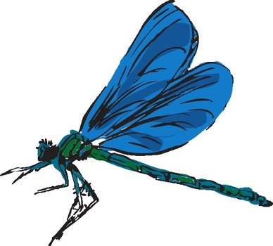 Drawing Dragonfly Clip Art N2