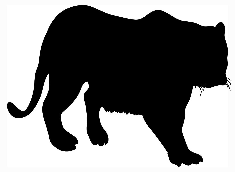 Tiger Silhouette drawing