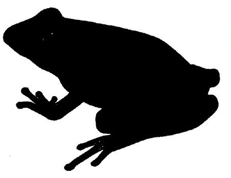Frog Silhouette N4