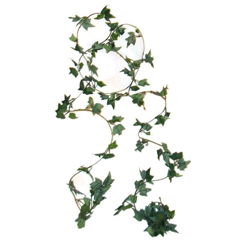 Ivy Vine Tattoos free image download