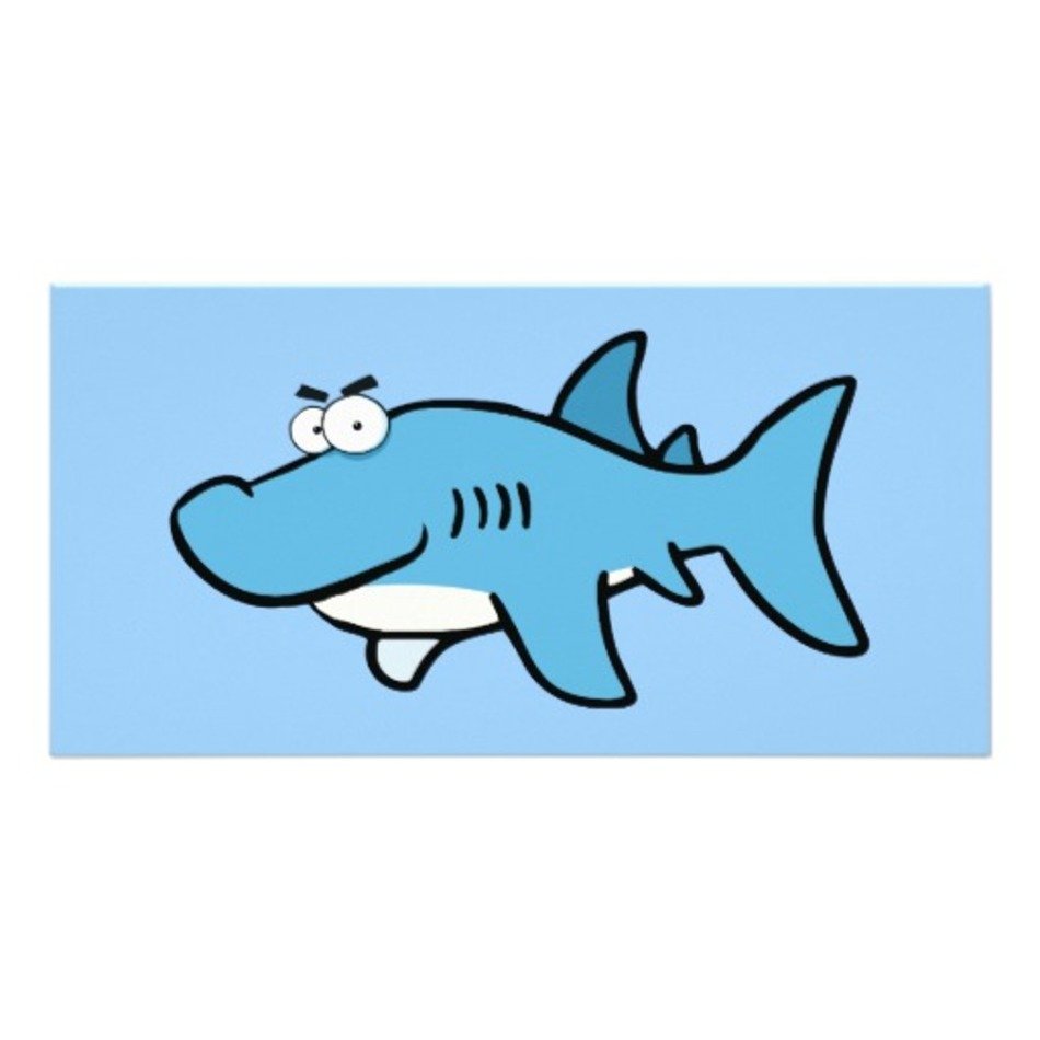 Funny Great White Shark