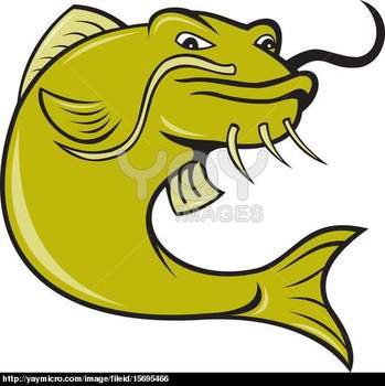 Catfish Cartoon
