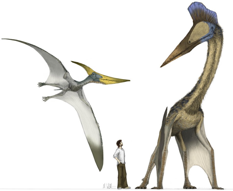 man stands near pterosaurus and quetzalcoatl