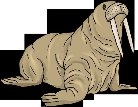 Walrus Clip Art N6