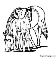 Horse Coloring Pages N5