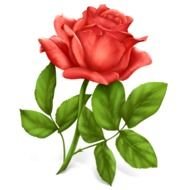Rose Icon N2