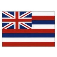 Hawaii Flag as a graphic illustration
