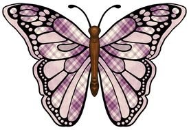 Art Butterfly Wings Pattern drawing