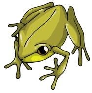 Puerto Rican Frog clipart
