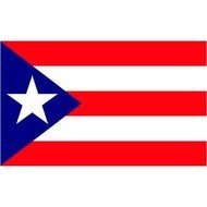 Puerto Rico Flag N14