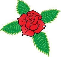Rose Vector Art drawing