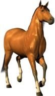computer generated image of a brown thoroughbred horse