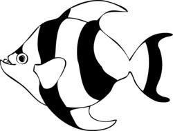 Tropical Fish Clip Art N62