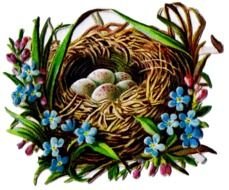 Vintage Bird Nest Clip Art drawing