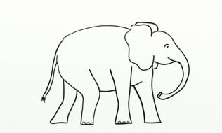 Elephant as a graphic illustration