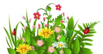 Grass Flowers drawing
