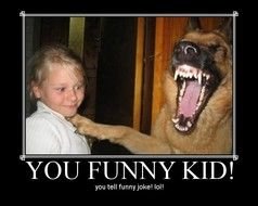 Funny Dog Jokes