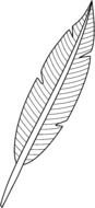 Feather Clip Art Black And White drawing