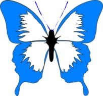 Blue Butterfly Clip Art N37