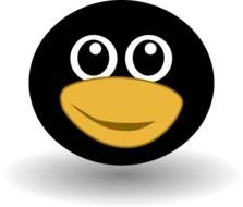 Penguin Face Clip Art N2