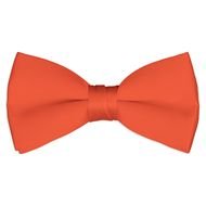 Pink Bow Tie drawing