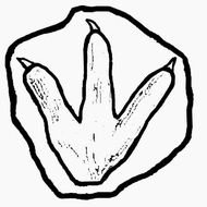 Dinosaur Footprint Coloring Page