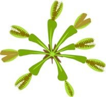 Plant 04 By Jpenrici A Carnivorous