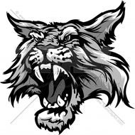 Wildcat Mascot Head N2
