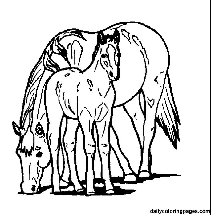 Horse Coloring Pages N5
