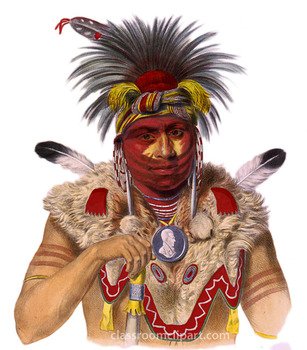 Native American Indian Feathers N2