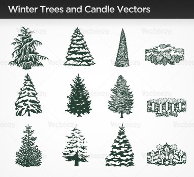 Pine Tree Vector