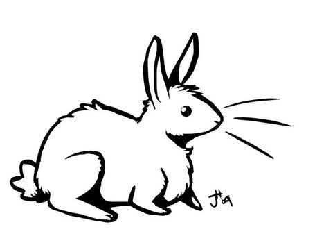 Simple Bunny Drawing
