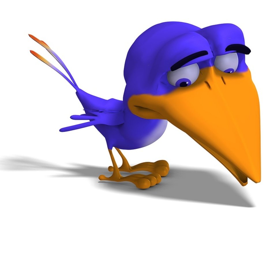 Cartoon Birds N9