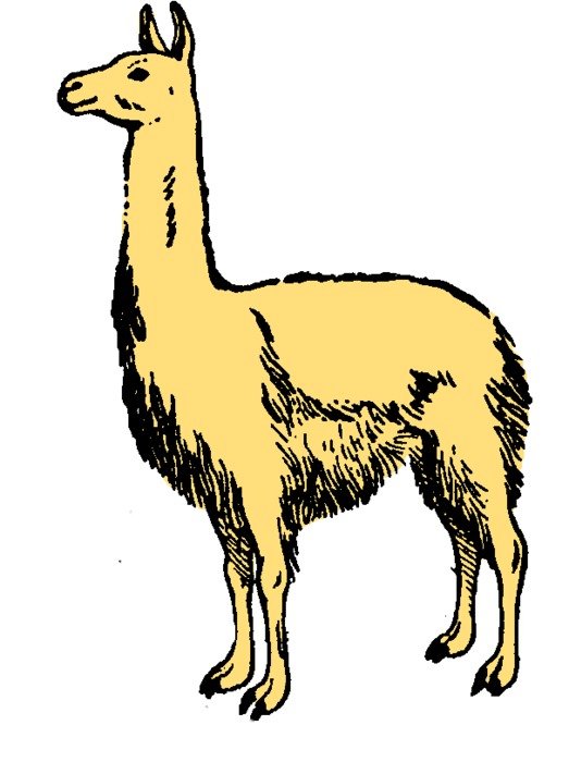 Llama Clip Art N9