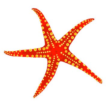 Star Fish Clip Art N4