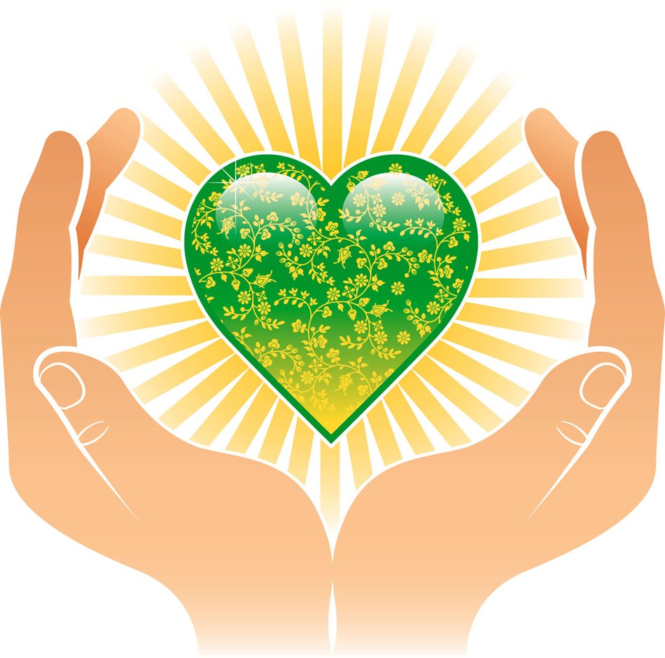 green heart in the hands of man
