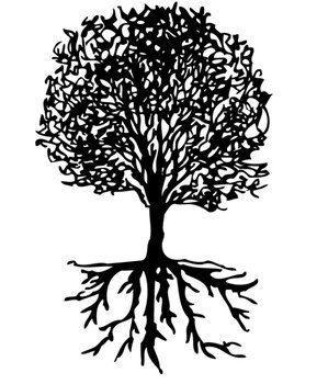 Family Reunion Tree With Roots N3
